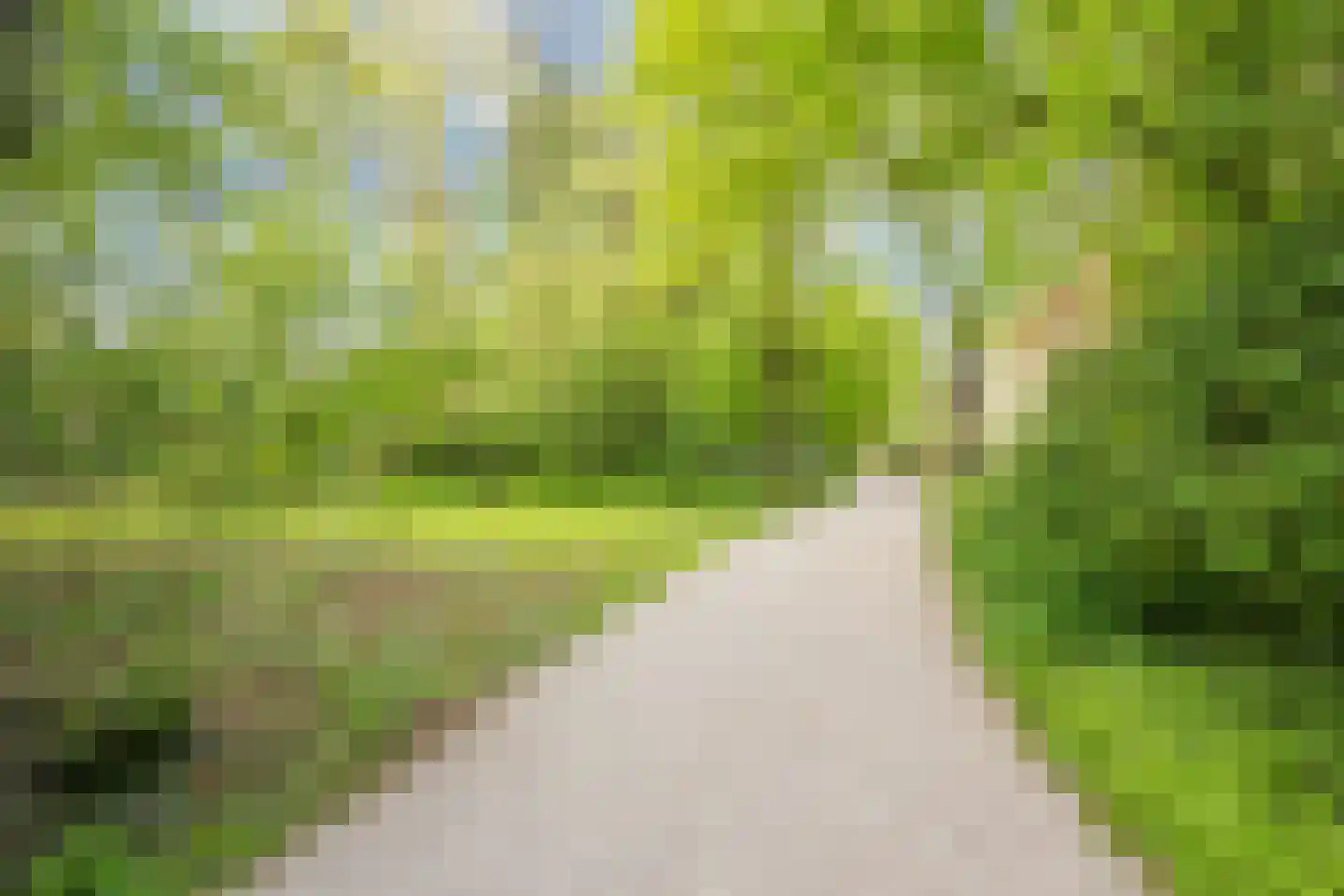 Anemoonstraat 3 BS Utrecht thumbnail 57