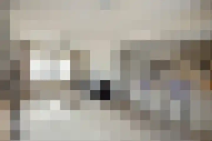 Anemoonstraat 3 Ittervoort thumbnail 11