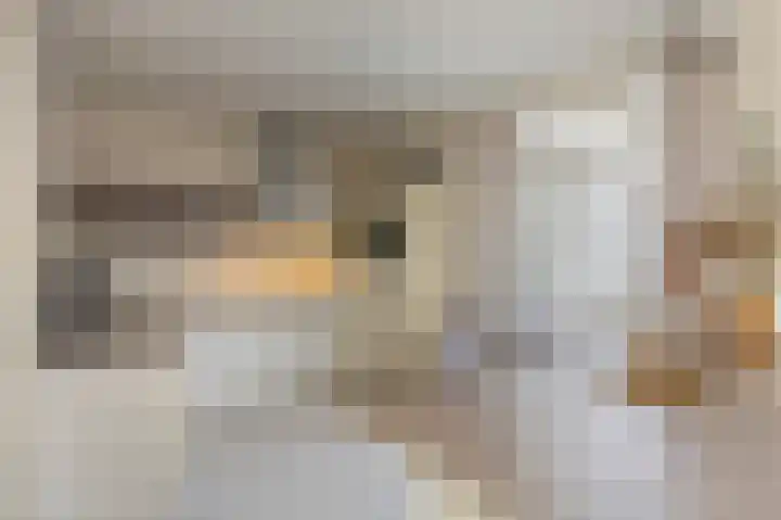Anemoonstraat 3 Ittervoort thumbnail 13