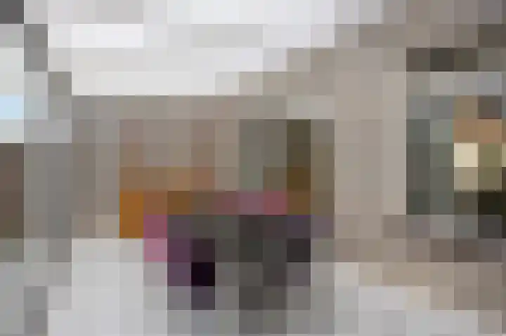 Anemoonstraat 3 Ittervoort thumbnail 17