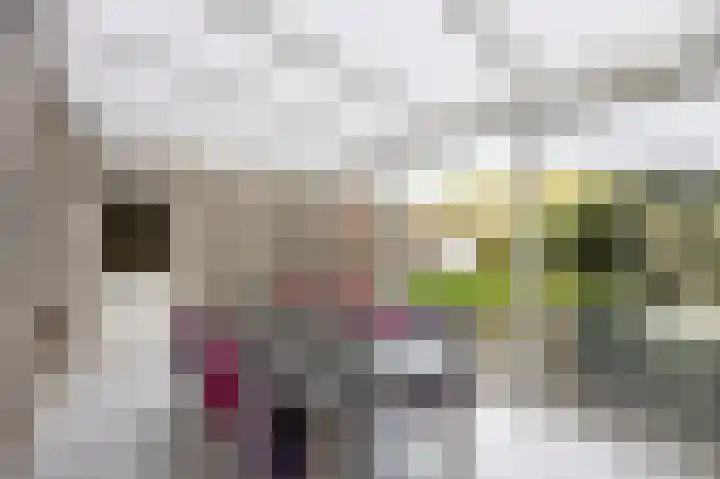 Anemoonstraat 3 Ittervoort thumbnail 18