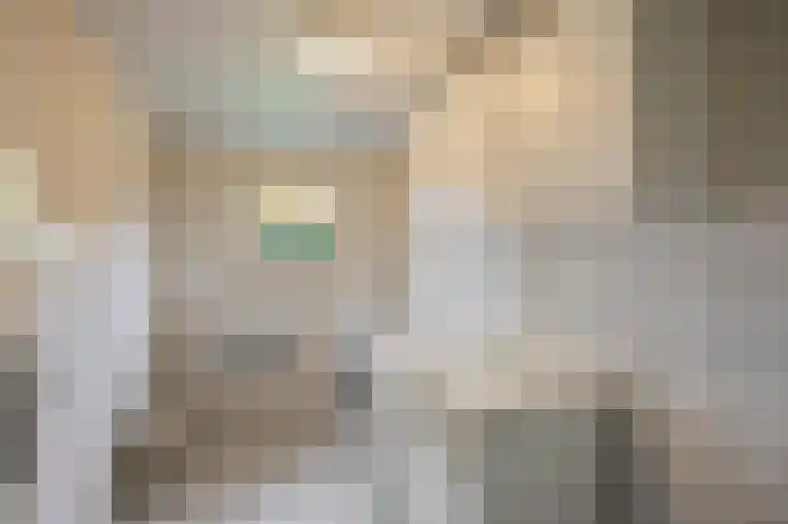 Anemoonstraat 3 Ittervoort thumbnail 20