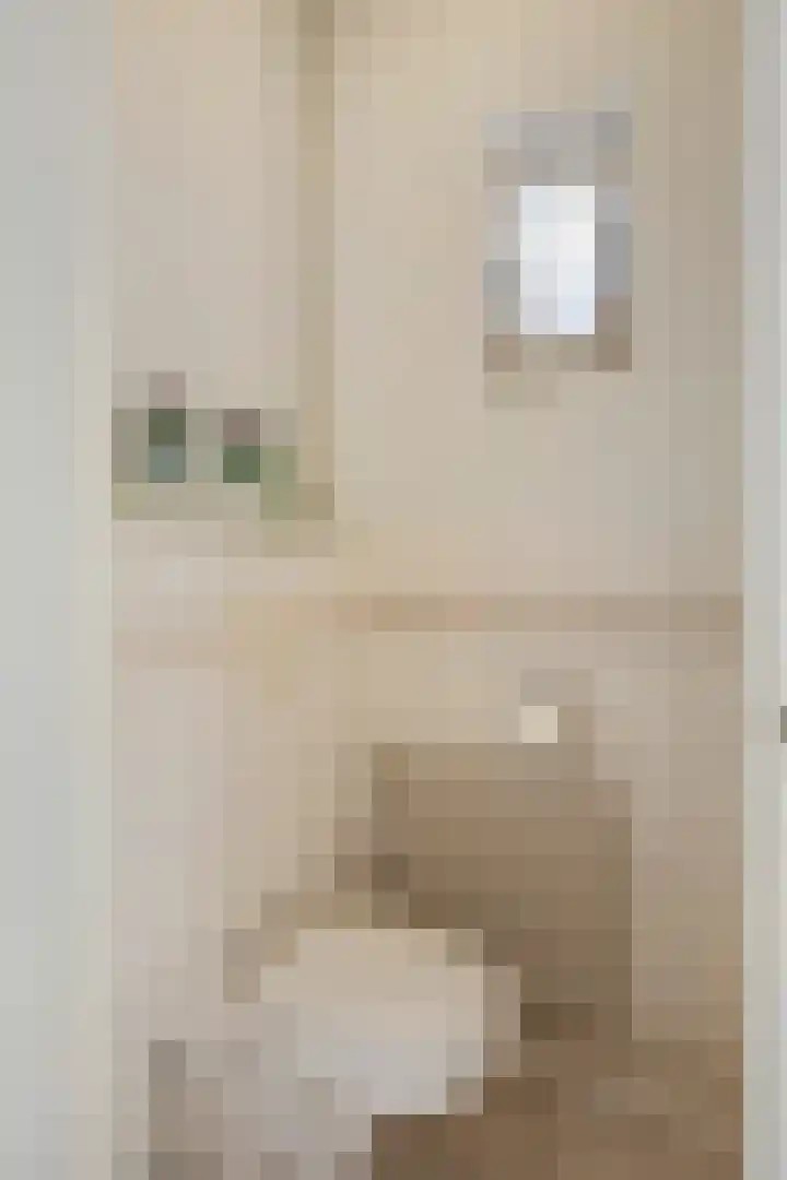 Anemoonstraat 3 Ittervoort thumbnail 21