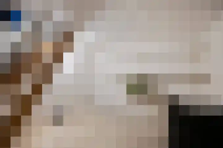 Anemoonstraat 3 Ittervoort thumbnail 23