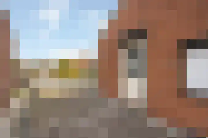 Anemoonstraat 3 Ittervoort thumbnail 31