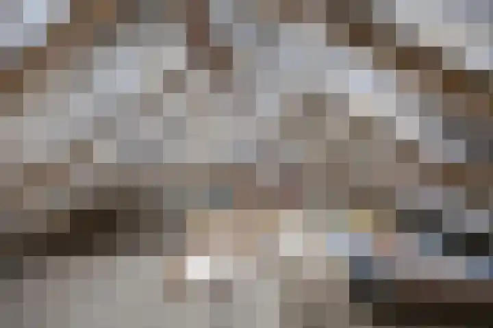 Anemoonstraat 3 Ittervoort thumbnail 34