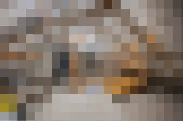 Anemoonstraat 3 Ittervoort thumbnail 35