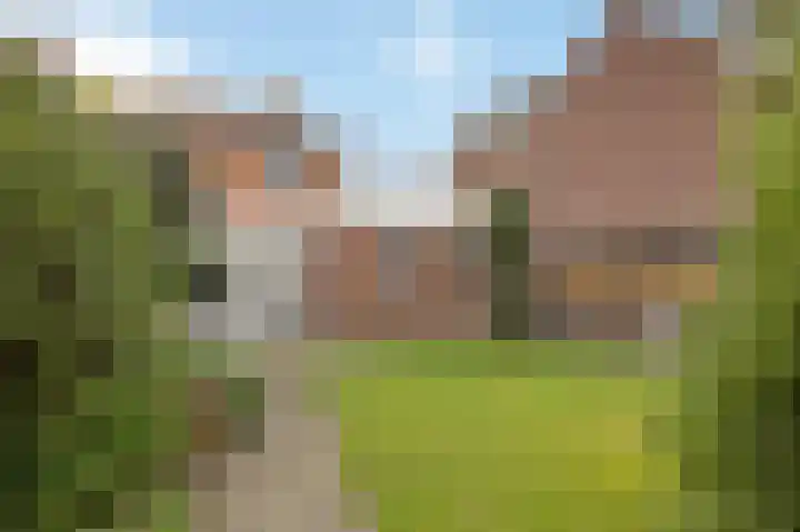 Anemoonstraat 3 Ittervoort thumbnail 37