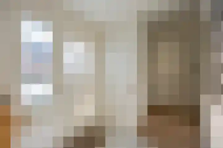 Anemoonstraat 3 Ittervoort thumbnail 4