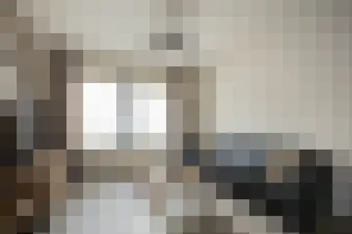 Anemoonstraat 3 Ittervoort thumbnail 6