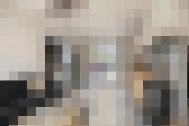 Anemoonstraat 3 Ittervoort thumbnail 7