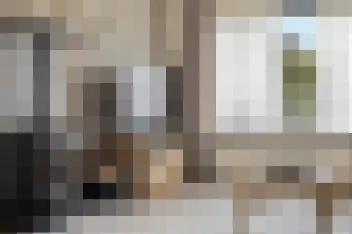 Anemoonstraat 3 Ittervoort thumbnail 8
