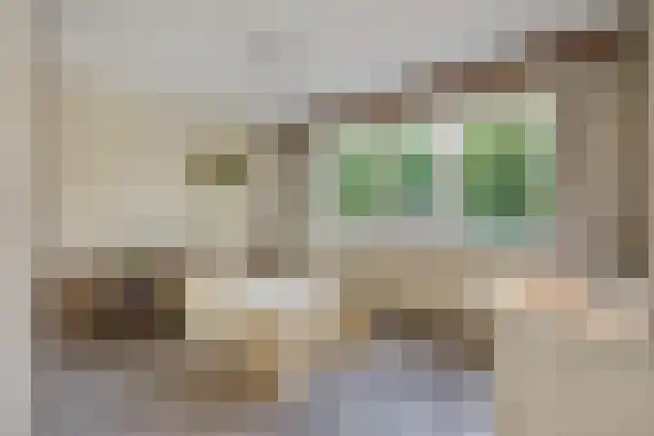 Anemoonstraat 3 Sint-Michielsgestel thumbnail 15