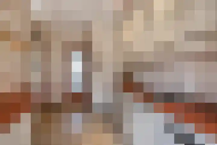 Anemoonstraat 3 Sint-Michielsgestel thumbnail 8