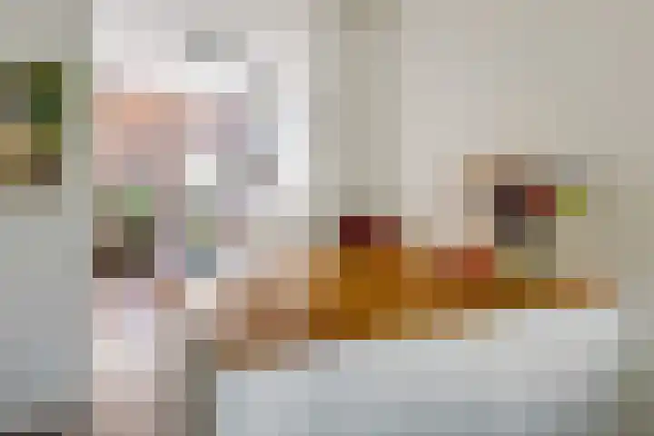 Anemoonstraat 3 Utrecht thumbnail 12
