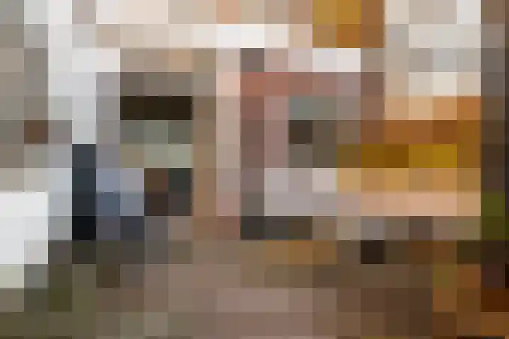 Anemoonstraat 3 Utrecht thumbnail 27