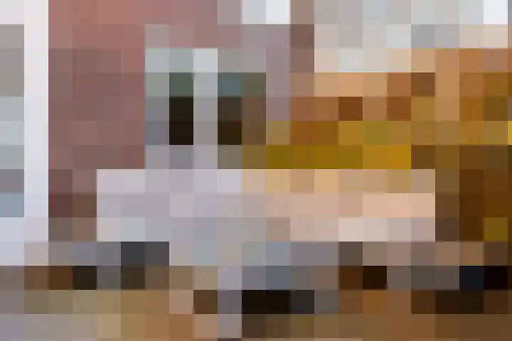 Anemoonstraat 3 Utrecht thumbnail 28
