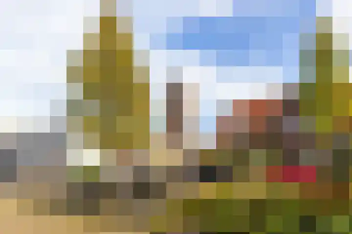 Anemoonstraat 3 Utrecht thumbnail 30