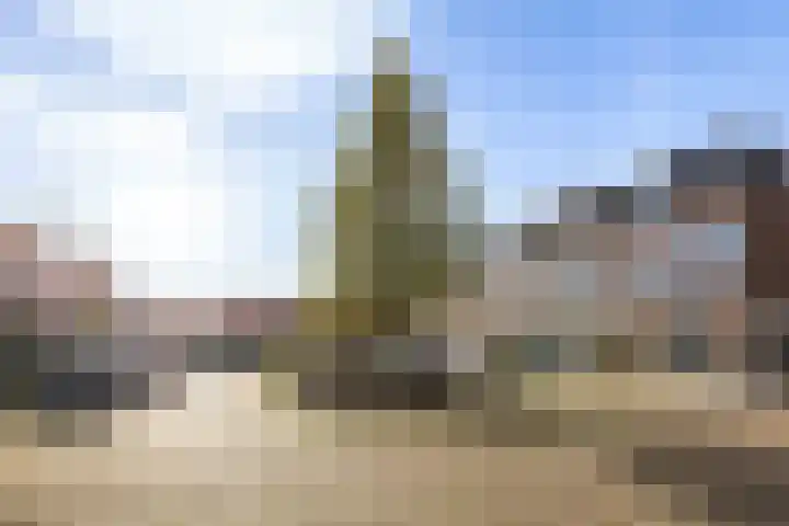 Anemoonstraat 3 Utrecht thumbnail 31