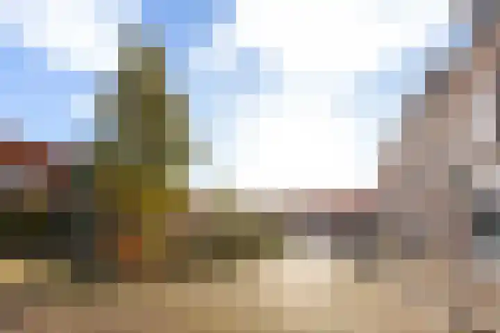 Anemoonstraat 3 Utrecht thumbnail 32