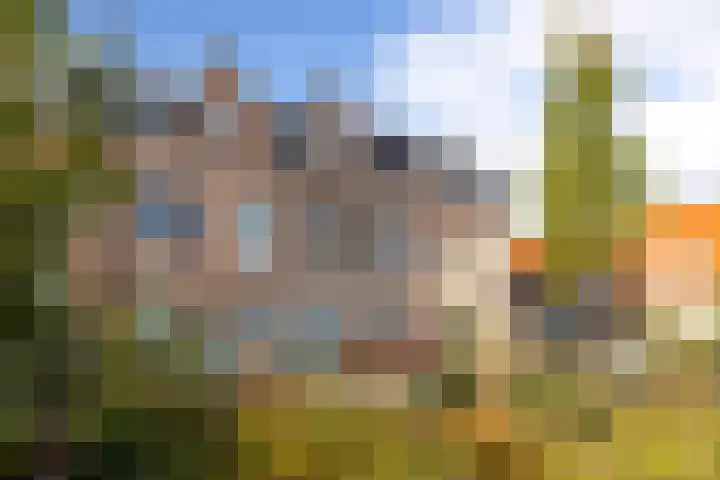 Anemoonstraat 3 Utrecht thumbnail 35