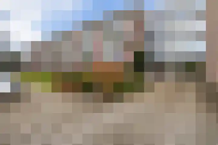 Anemoonstraat 31 Assen thumbnail 10