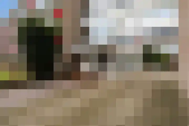 Anemoonstraat 31 Assen thumbnail 11