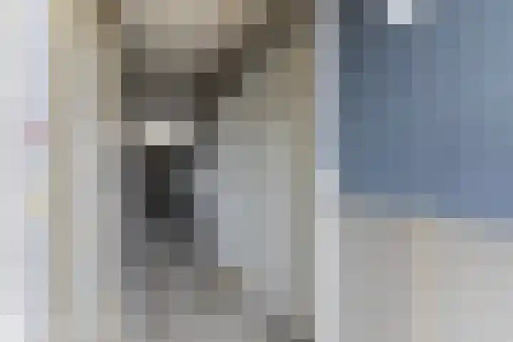 Anemoonstraat 31 Assen thumbnail 43