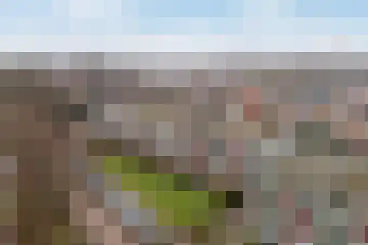 Anemoonstraat 31 Assen thumbnail 6