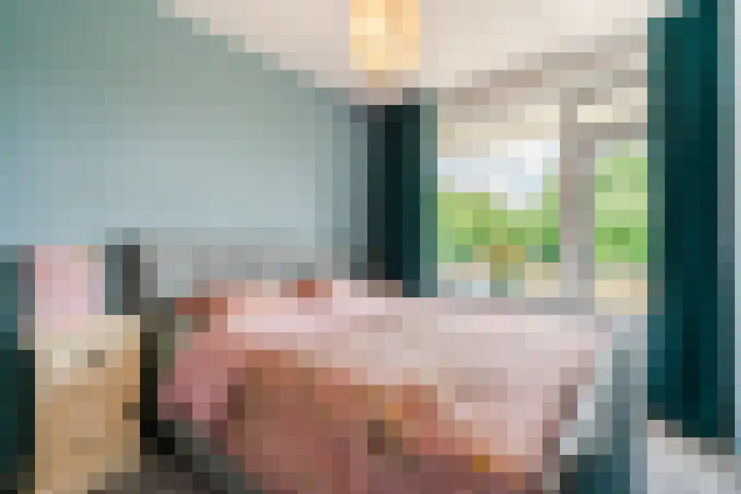 Anemoonstraat 31 Hoogeveen thumbnail 12