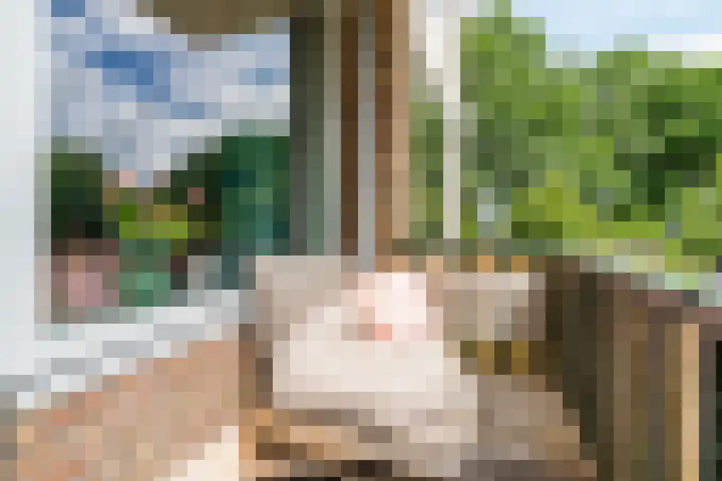 Anemoonstraat 31 Hoogeveen thumbnail 25