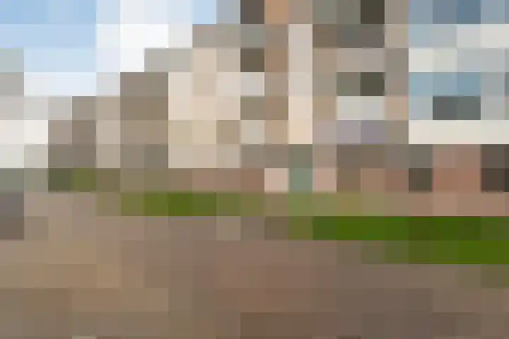 Anemoonstraat 31 Hoogeveen thumbnail 25
