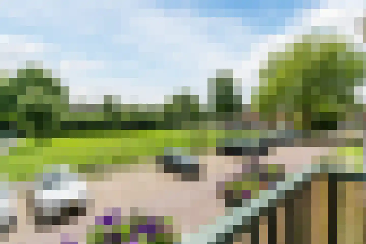 Anemoonstraat 31 Hoogeveen thumbnail 26
