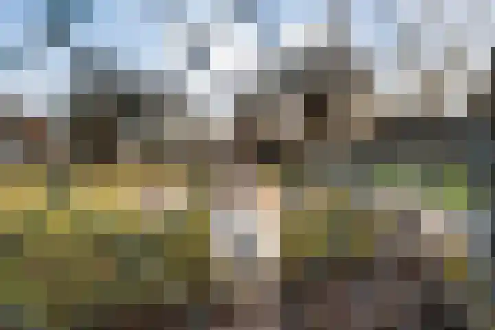 Anemoonstraat 31 Hoogeveen thumbnail 26