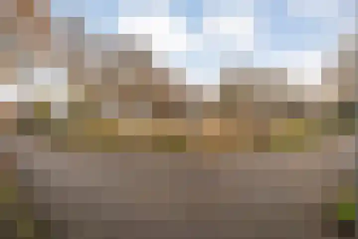 Anemoonstraat 31 Hoogeveen thumbnail 27