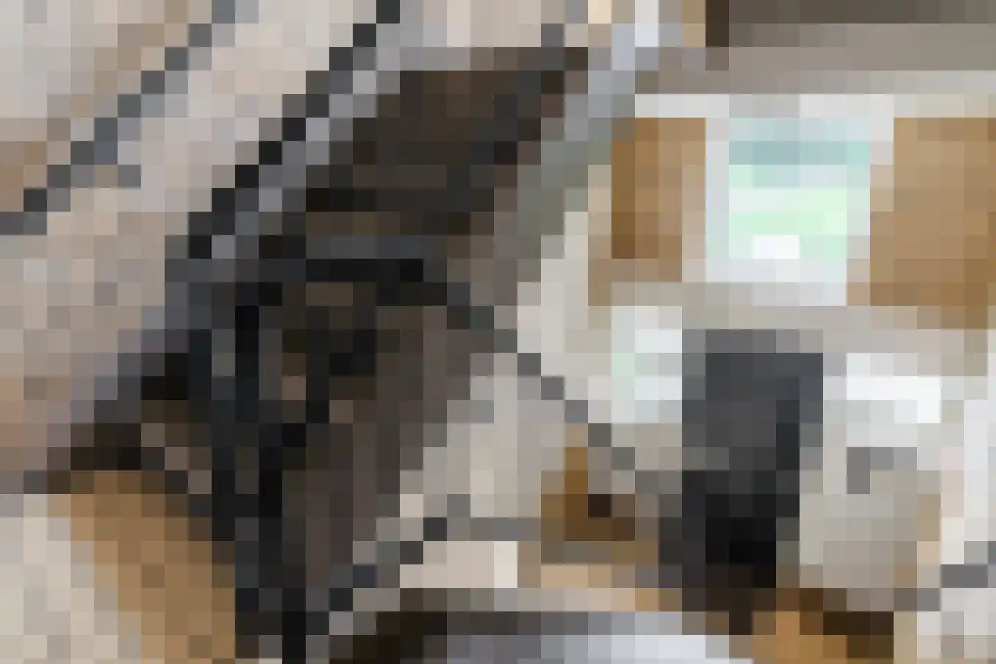 Anemoonstraat 31 Hoogeveen thumbnail 31