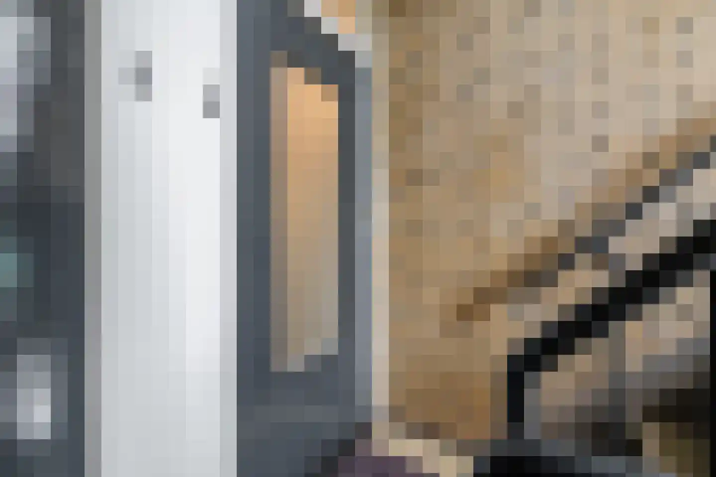 Anemoonstraat 31 Hoogeveen thumbnail 32