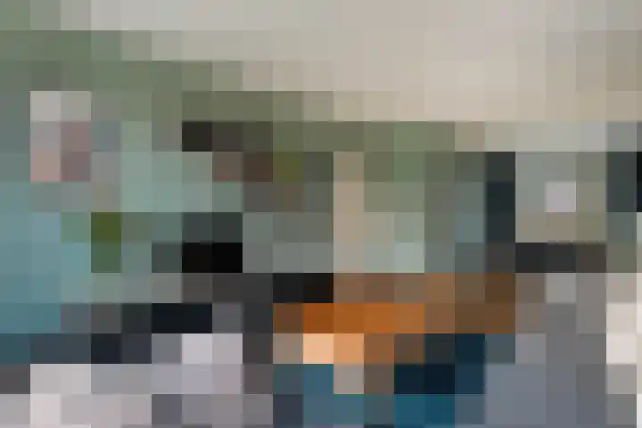 Anemoonstraat 31 Hoogeveen thumbnail 6