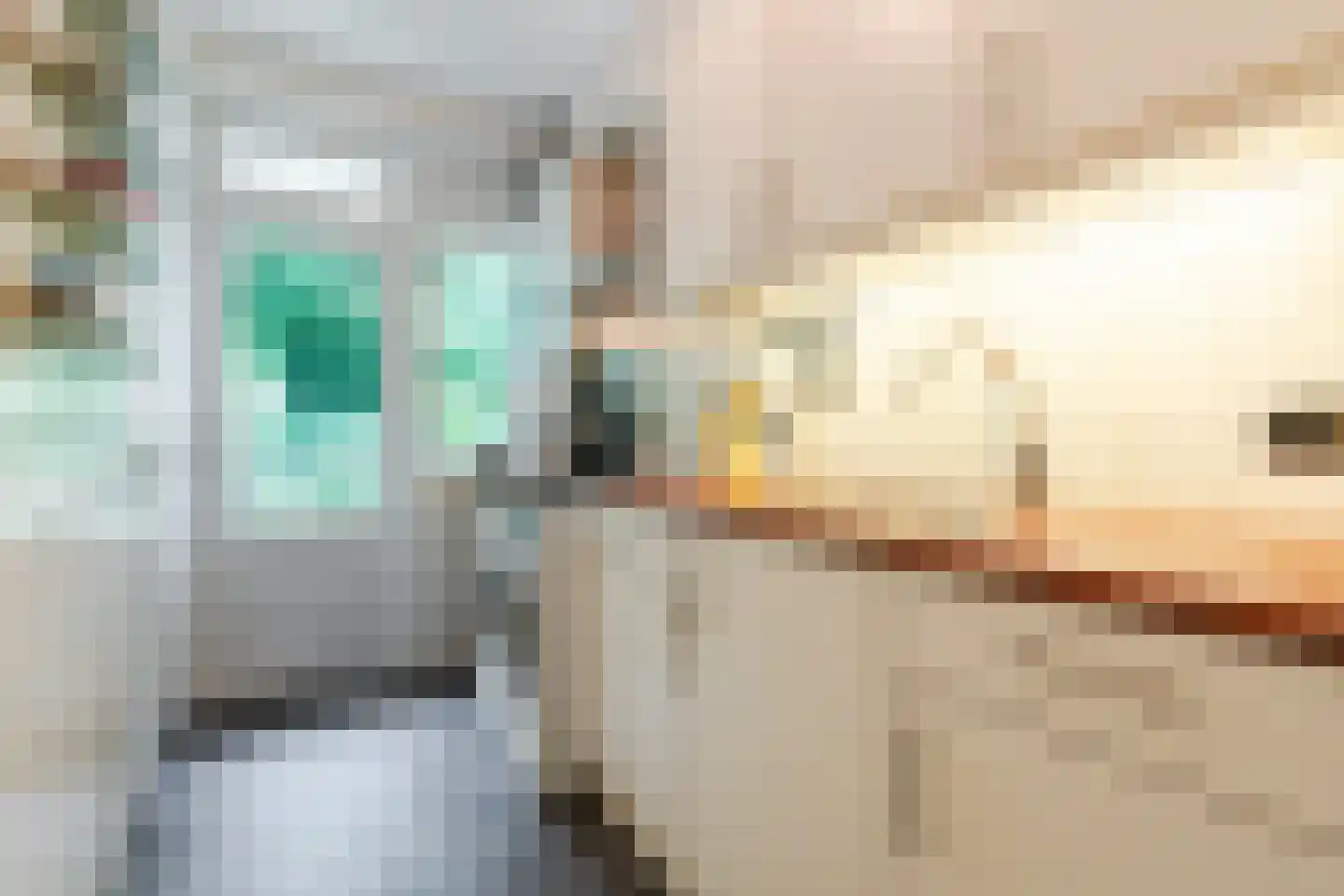 Anemoonstraat 31 Hoogeveen thumbnail 9