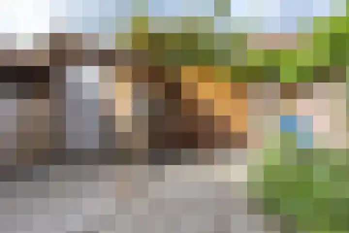 Anemoonstraat 31 Koog aan de Zaan thumbnail 30