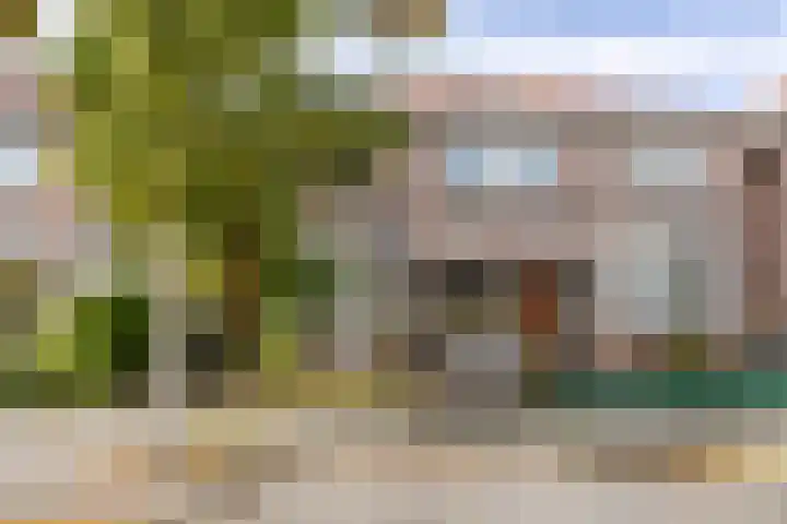 Anemoonstraat 31 Koog aan de Zaan thumbnail 4