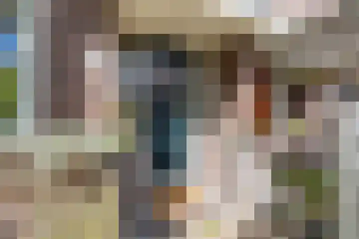 Anemoonstraat 31 Koog aan de Zaan thumbnail 5