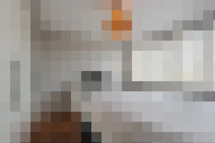 Anemoonstraat 32 Voorhout thumbnail 17