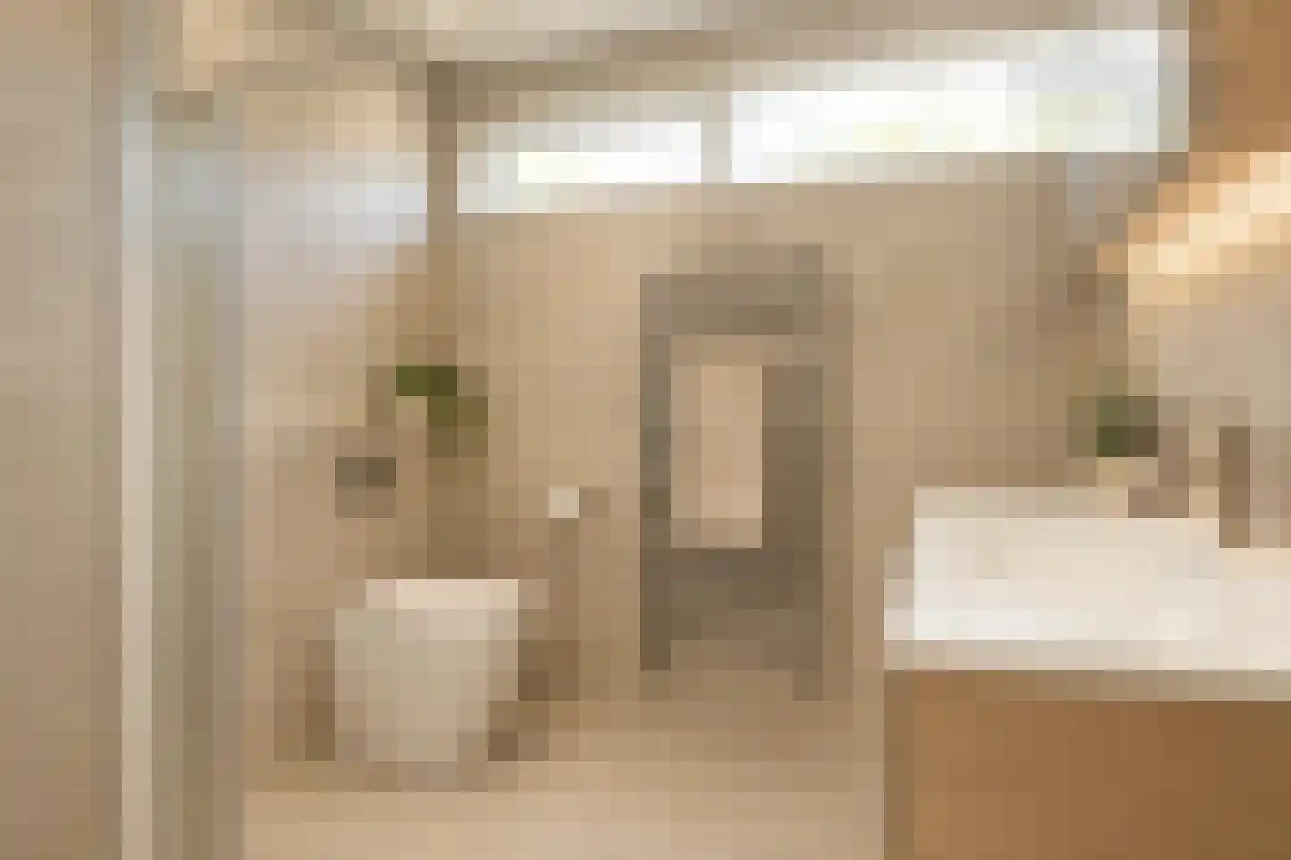 Anemoonstraat 34 Putte thumbnail 16