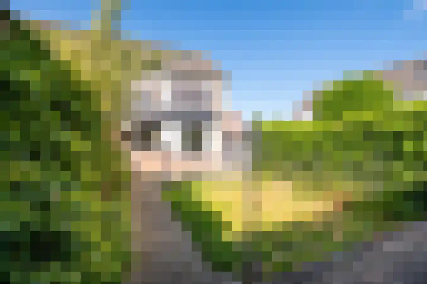 Anemoonstraat 34 Putte thumbnail 25