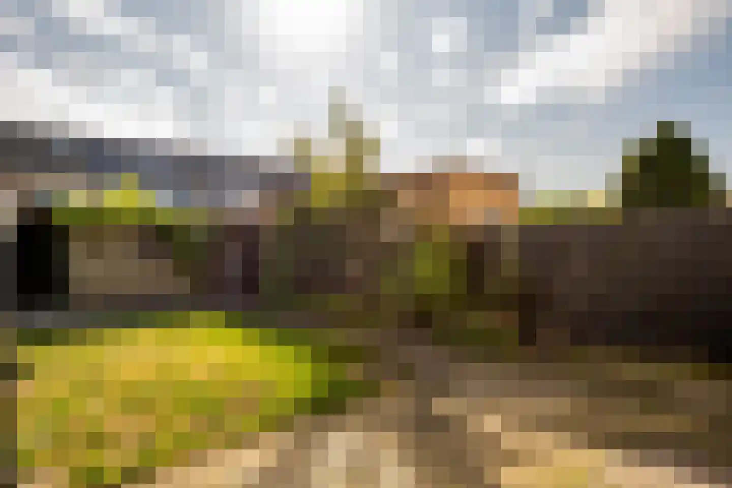 Anemoonstraat 34 Putte thumbnail 5