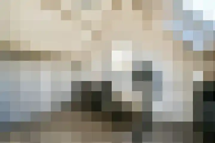 Anemoonstraat 37 Oostzaan thumbnail 31