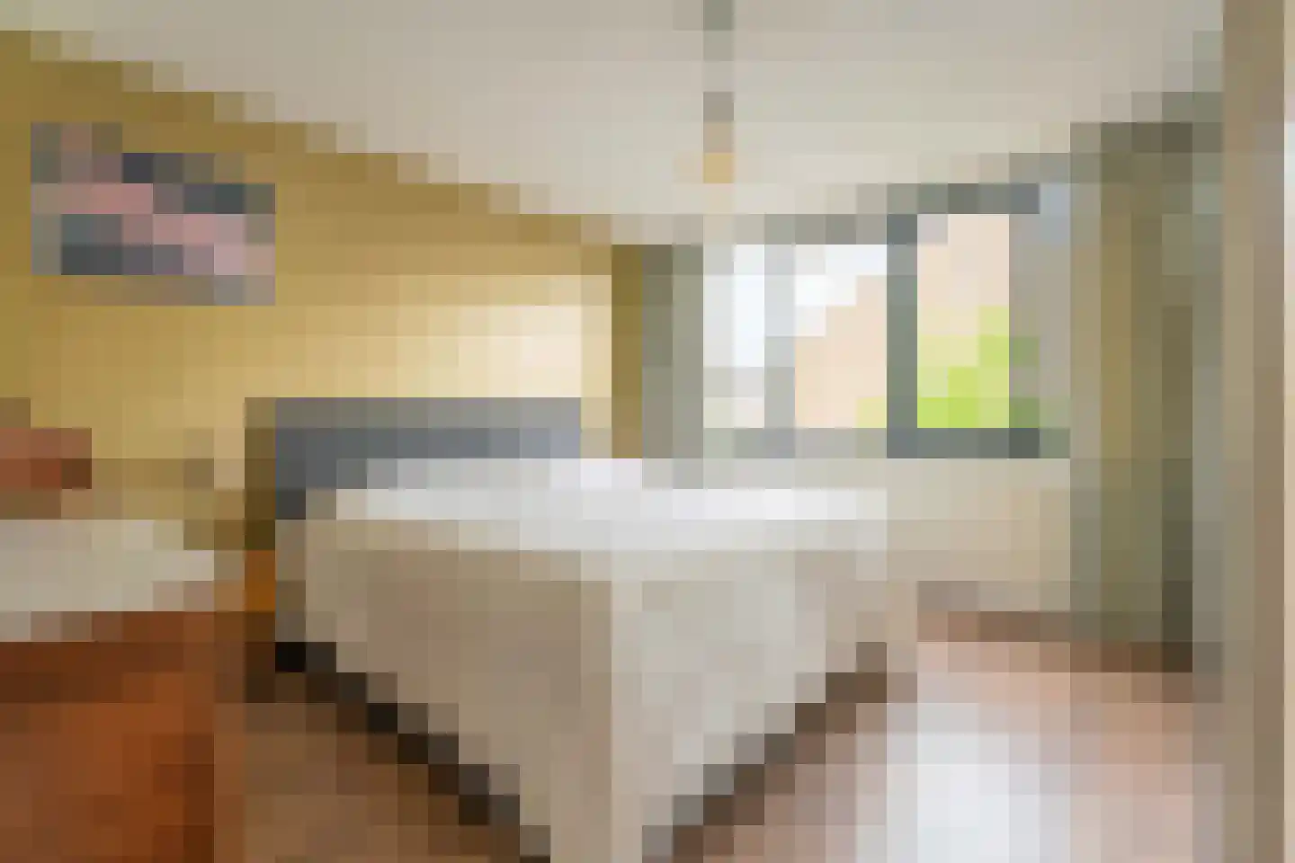 Anemoonstraat 38 Voorhout thumbnail 12