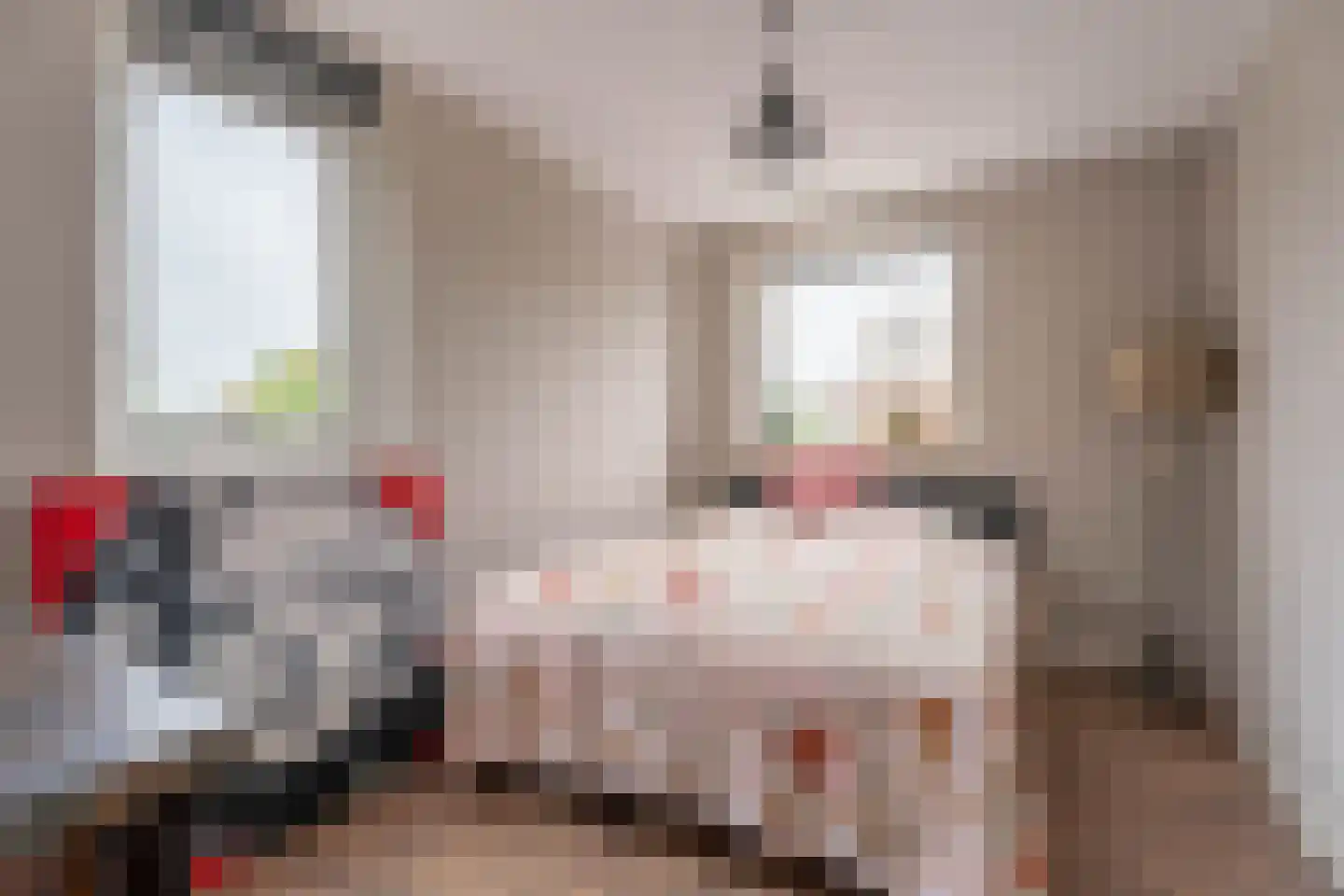 Anemoonstraat 38 Voorhout thumbnail 15