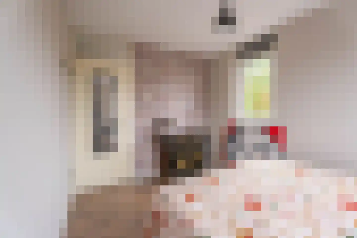 Anemoonstraat 38 Voorhout thumbnail 16
